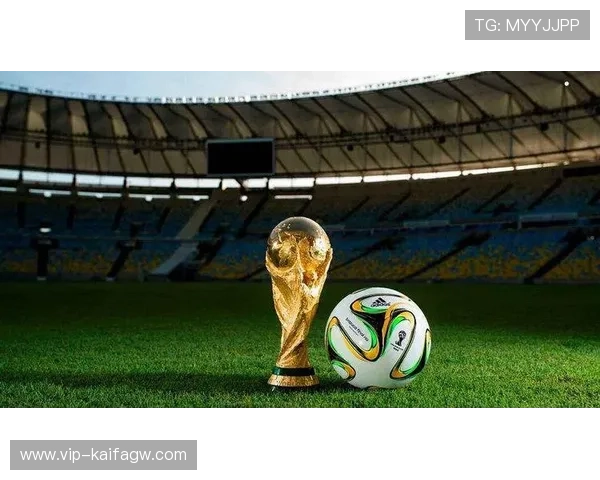 2026年世界杯举办国的安全保障措施与应急管理体系详解
